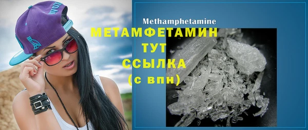 трава Корсаков