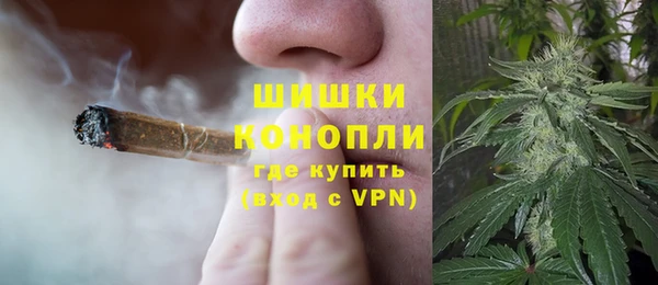 трава Корсаков