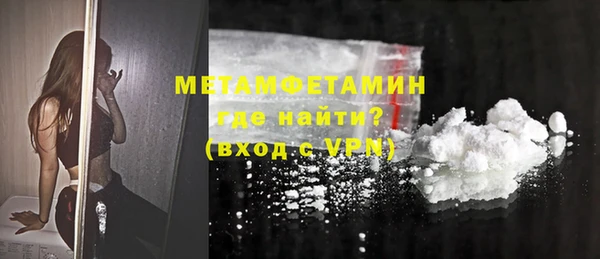 трава Корсаков