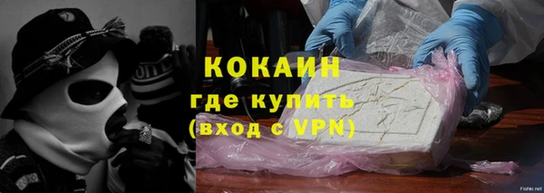 трава Корсаков