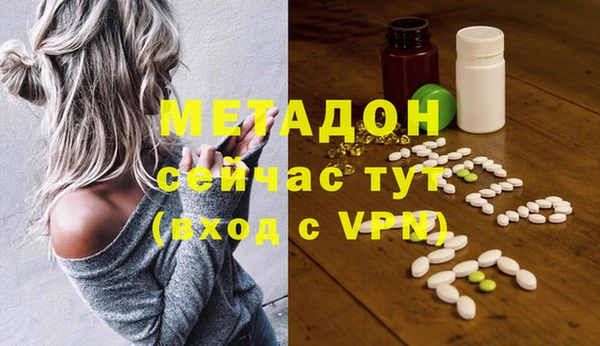 трава Корсаков