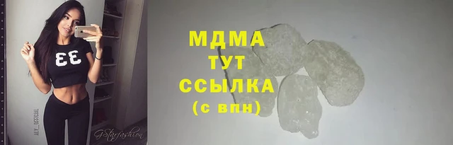 трава Корсаков