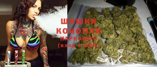 трава Корсаков