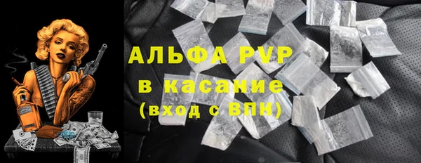 трава Корсаков