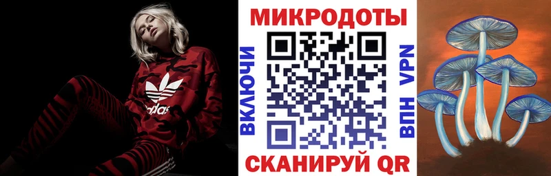 Галлюциногенные грибы Psilocybe  Купить  Луза 