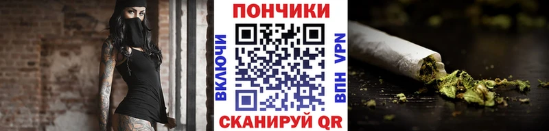 Бошки Шишки SATIVA & INDICA  Купить  Луза 
